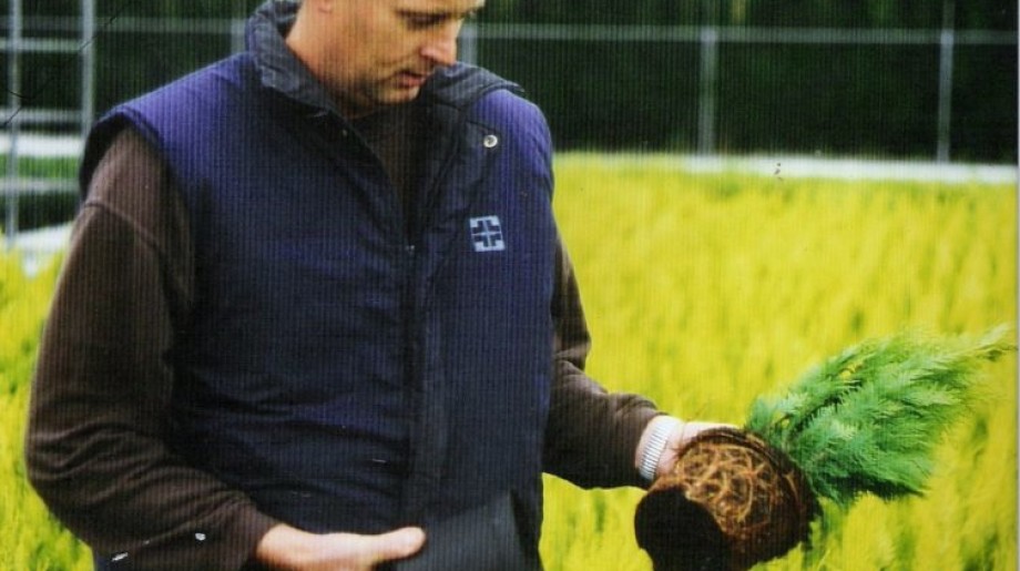 Boomkwekerij Wil de Kroon Steensel afbeelding 2